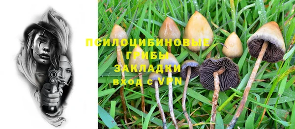 прущий лед Карпинск