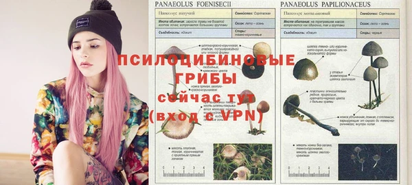 прущий лед Карпинск