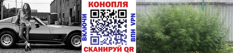 Канабис ГИДРОПОН  Купить  Дивногорск 